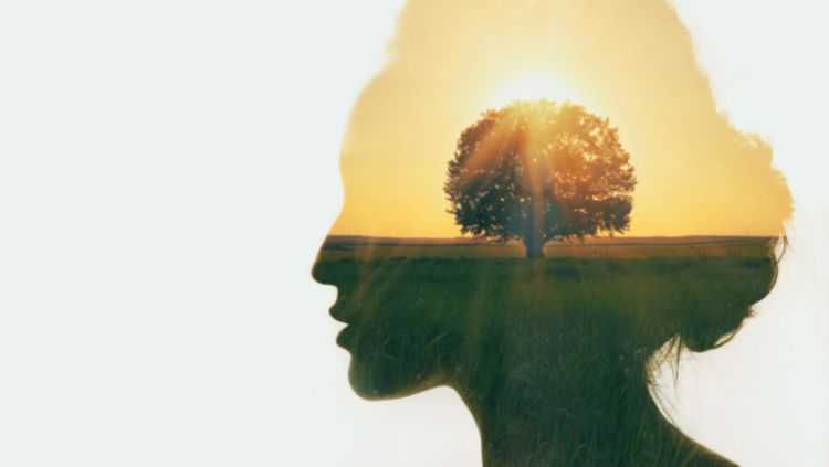self-discovery internal landscape